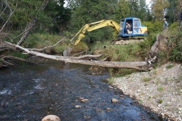 Nārsta vietas atjaunošana
