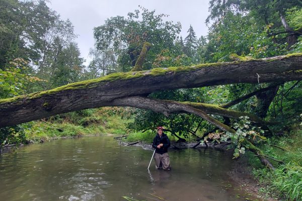 Zaņas upe, LIFE GoodWater IP